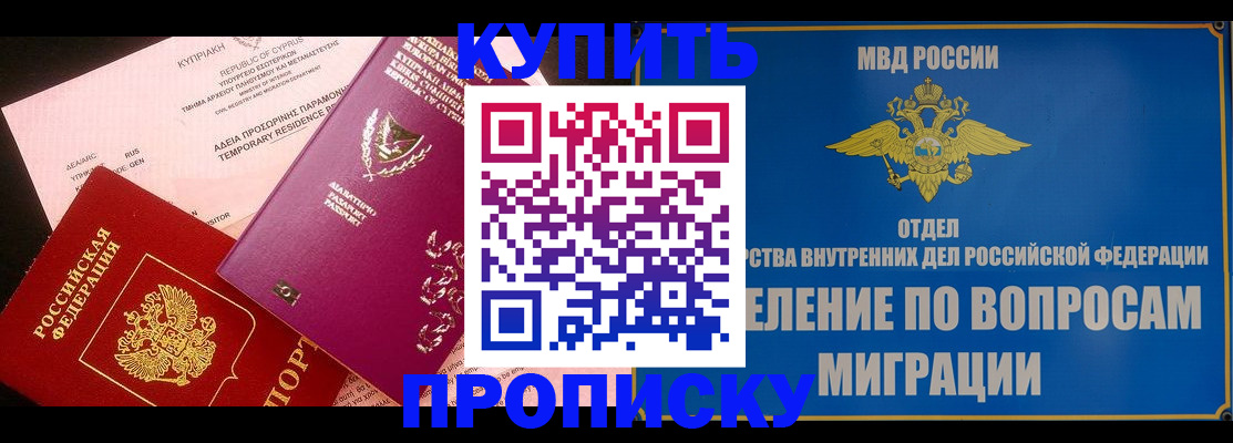 где прописаться в Кингисеппе
